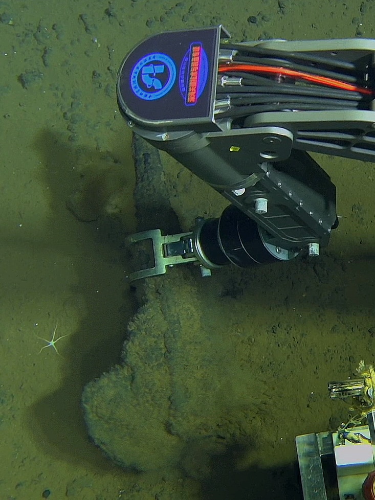 Camera looking down at large robot arm grabbing an axe-shaped fossil from silty sea floor.