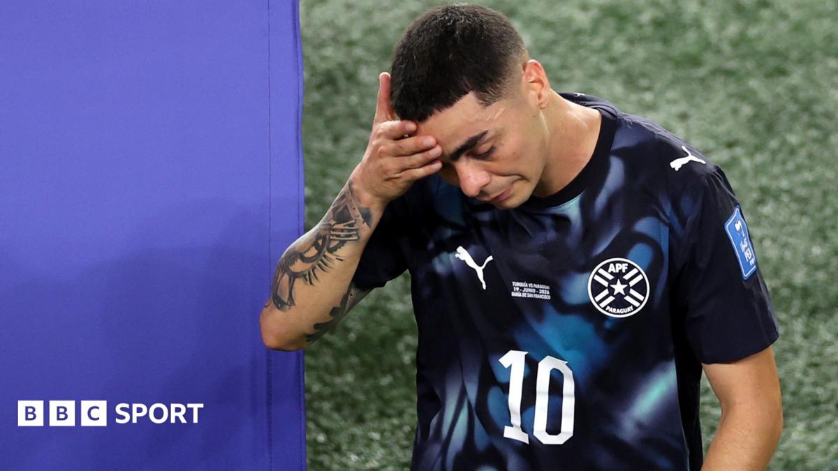 A picture of the World Cup predictor, with text alongside reading "Predict the World Cup"
