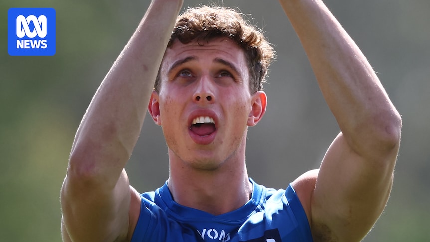 Gold Coast Suns' Max Knobel suspended for four AFL/VFL games over homophobic slur