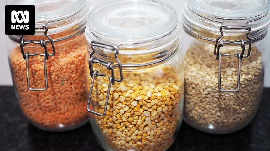 Australia forecast to produce a record 2.2 million tonnes of lentils