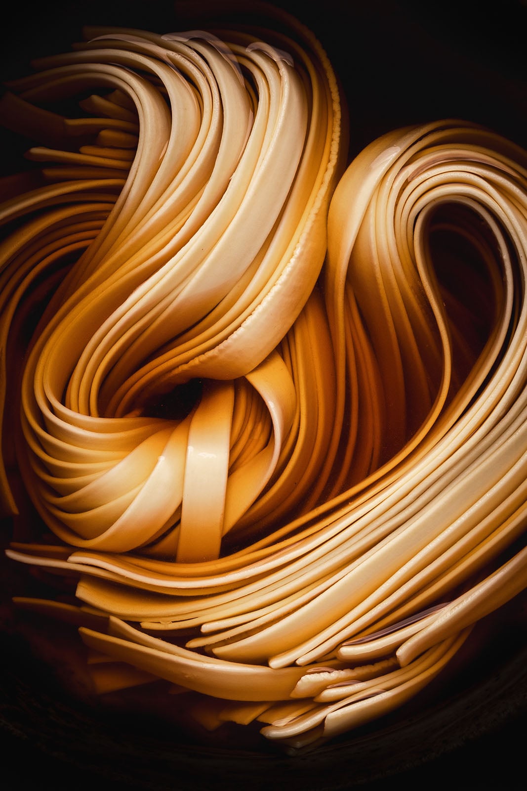Close-up of two bundles of uncooked fettuccine pasta, neatly coiled with long, flat noodles, set against a dark background. The light accentuates the pasta’s smooth texture and golden color.
