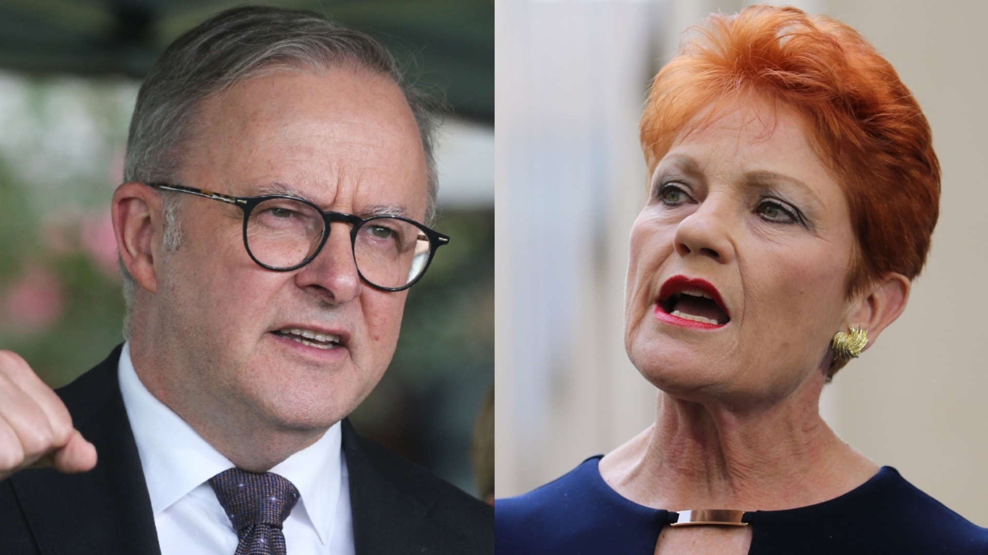 Albanese rejects One Nation’s monoculture stance, calls for unity