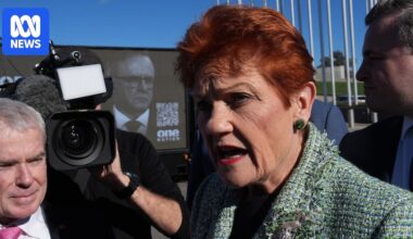 Hanson's increased visibility comes at a price for One Nation