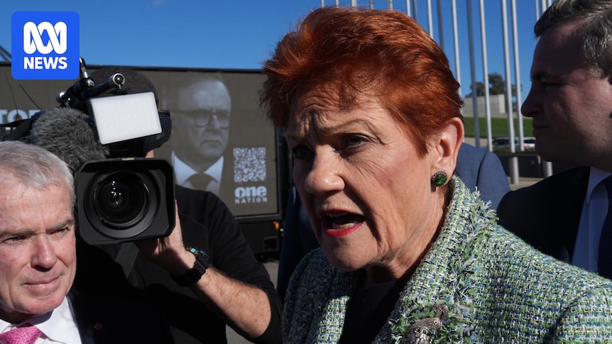 Hanson's increased visibility comes at a price for One Nation
