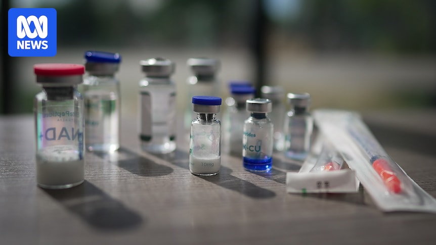 WA needle exchanges raise concerns over 'dramatic' rise in injectable peptide use