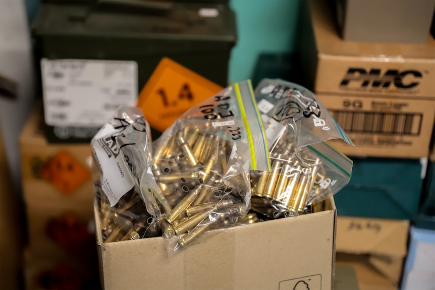 A brown cardboard box with clear plastic bags inside containing golden cylindrical bullet shell casings.