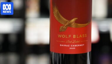 Future of iconic wine label Wolf Blass unclear amid Treasury Wine Estates restructure