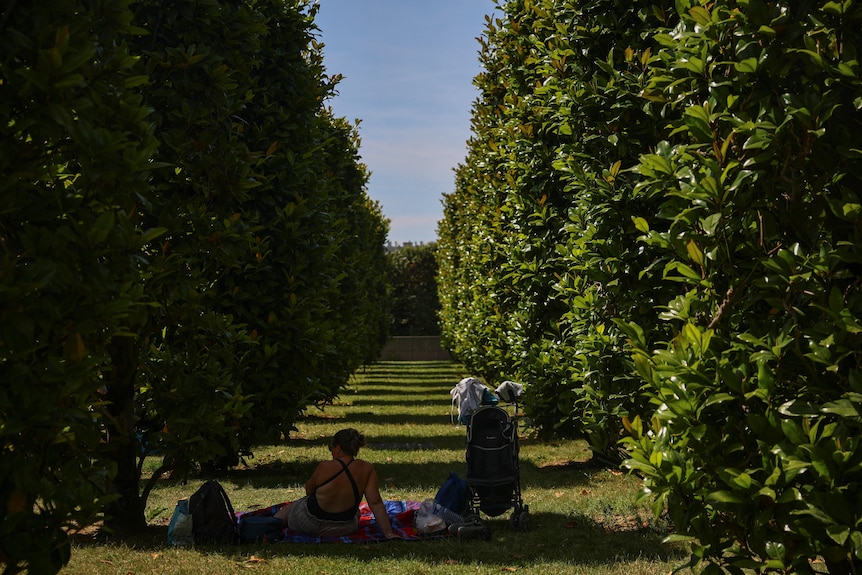 A woman rests in the shade of the trees at the André Citroën park.