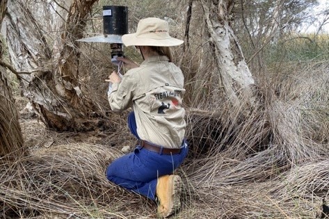 A person wearing blue pants and a beige shirt, crouching down near a mosquito catching device.