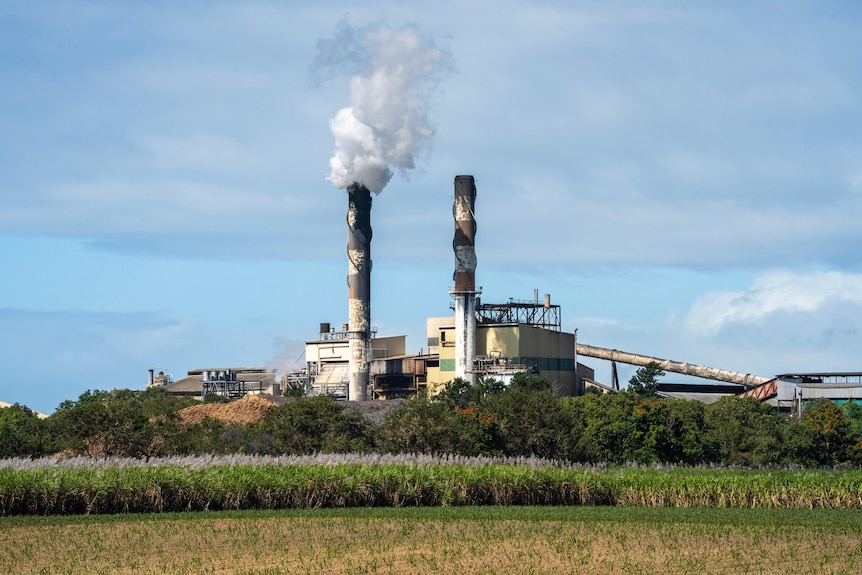 A sugar mill with white steam coming from one chimney.