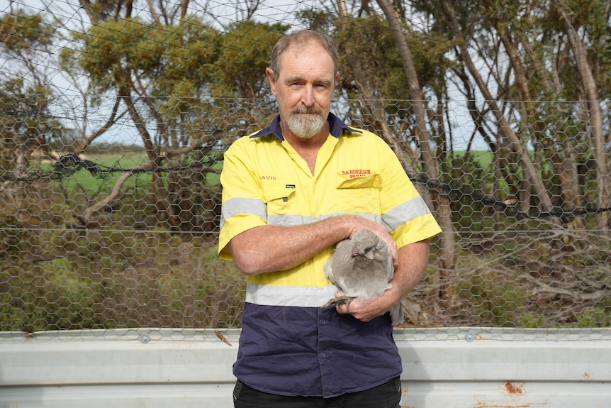 A man holding a chicken and looking at camera
