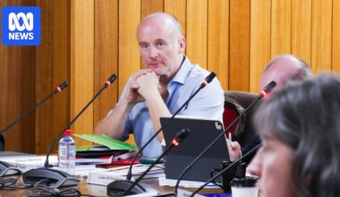 Snowy Monaro Regional Council CEO accuses Andrew Thaler of bullying
