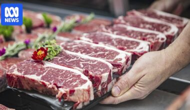 China warns Australia that 55 per cent beef quota could apply within days