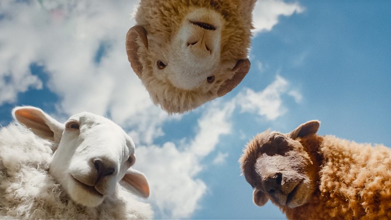 The Sheep Detectives: How the sheep were made VFX story