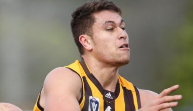 Ex-AFL, NRL rookie Shem Tatupu pleads guilty to domestic assault