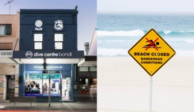 'Really sad': Bondi tourism business hurt as shark fears escalate