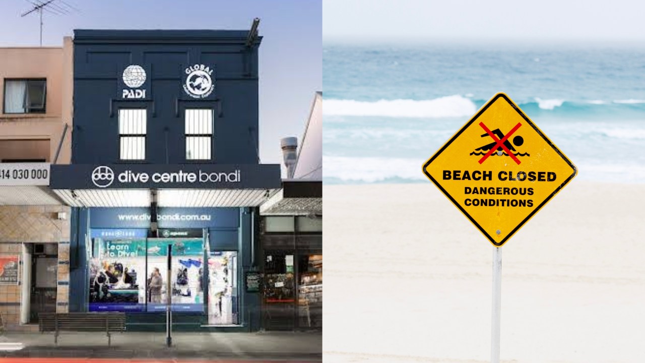 'Really sad': Bondi tourism business hurt as shark fears escalate