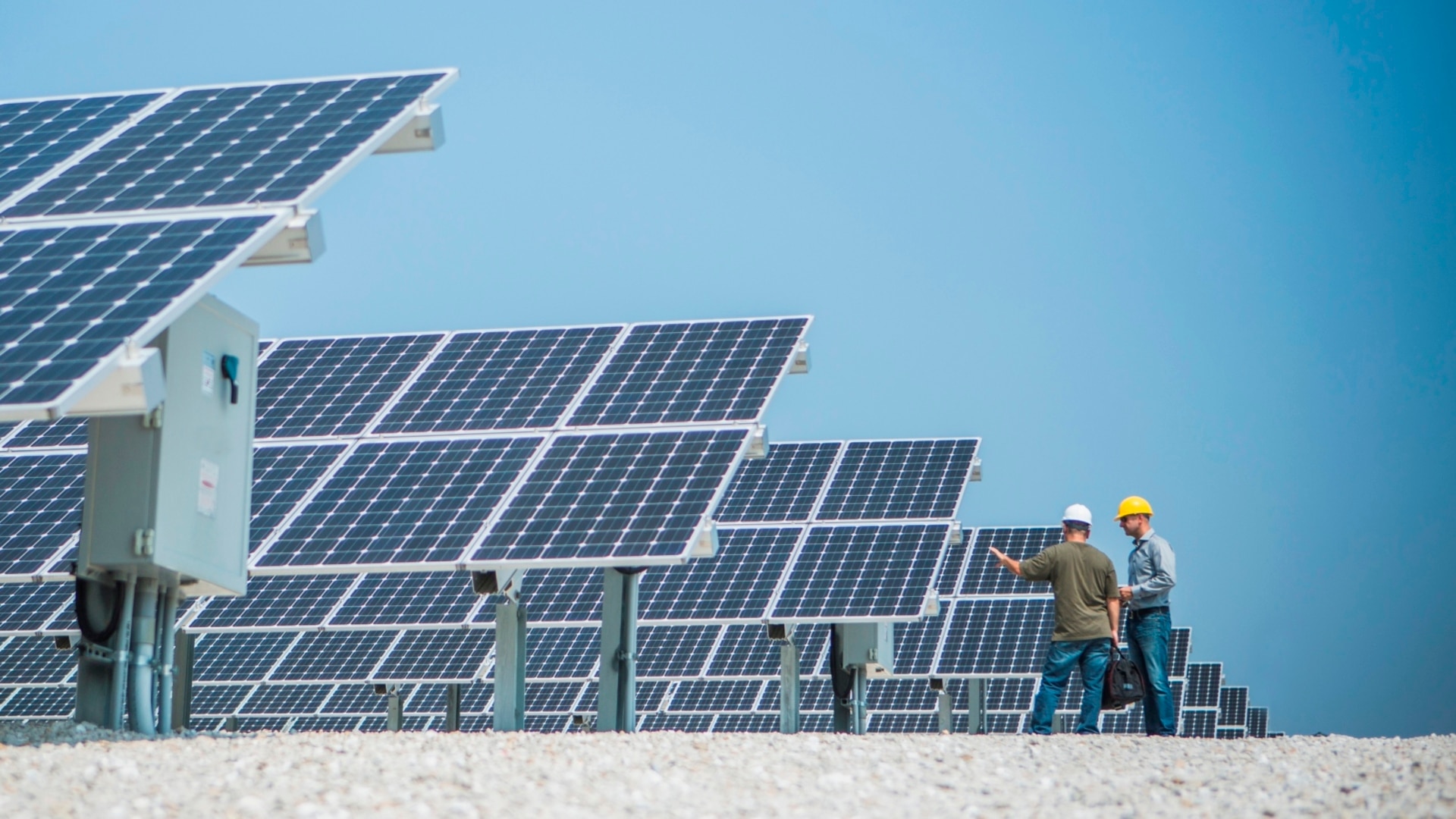 Australian Dairy Farmers Association warns renewable energy must not impact food security