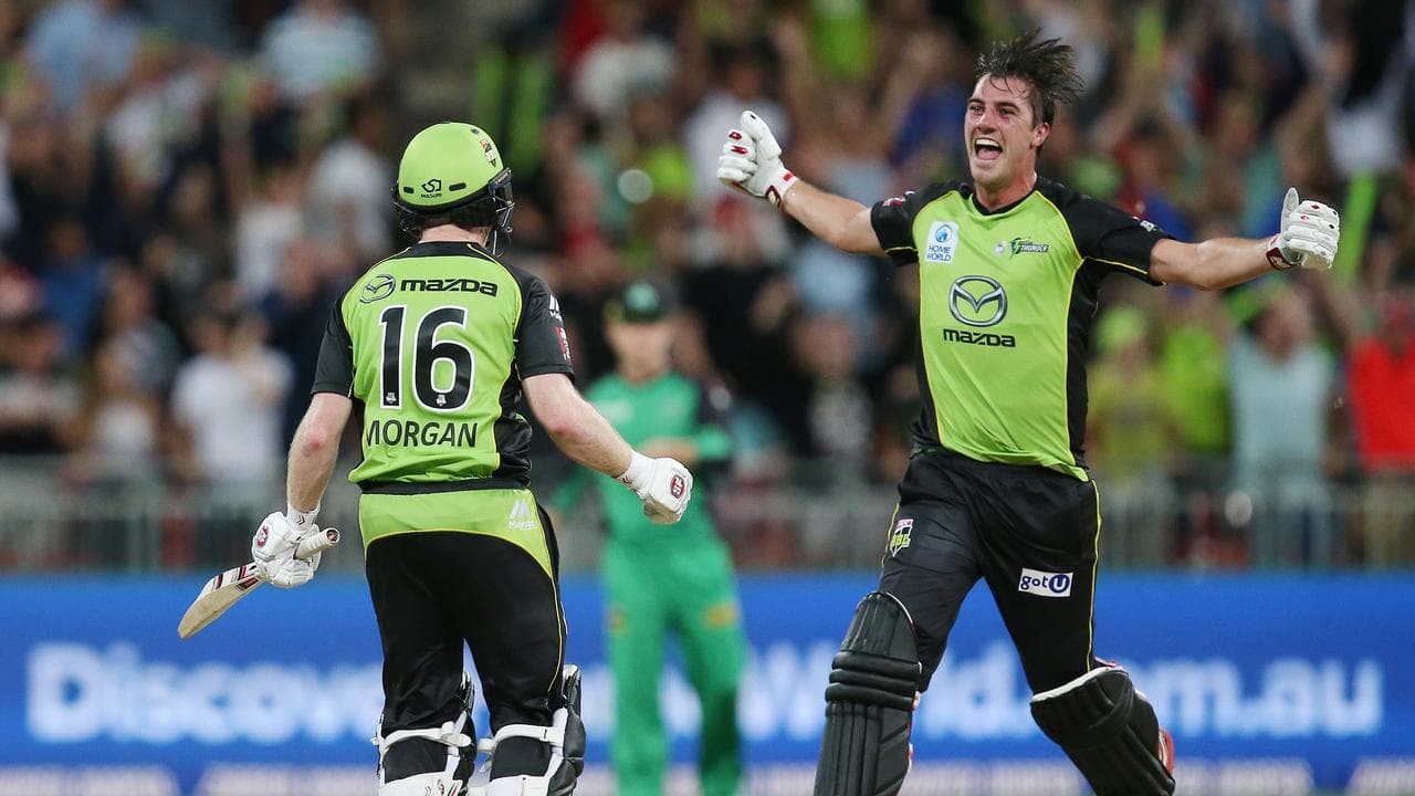 Cricket