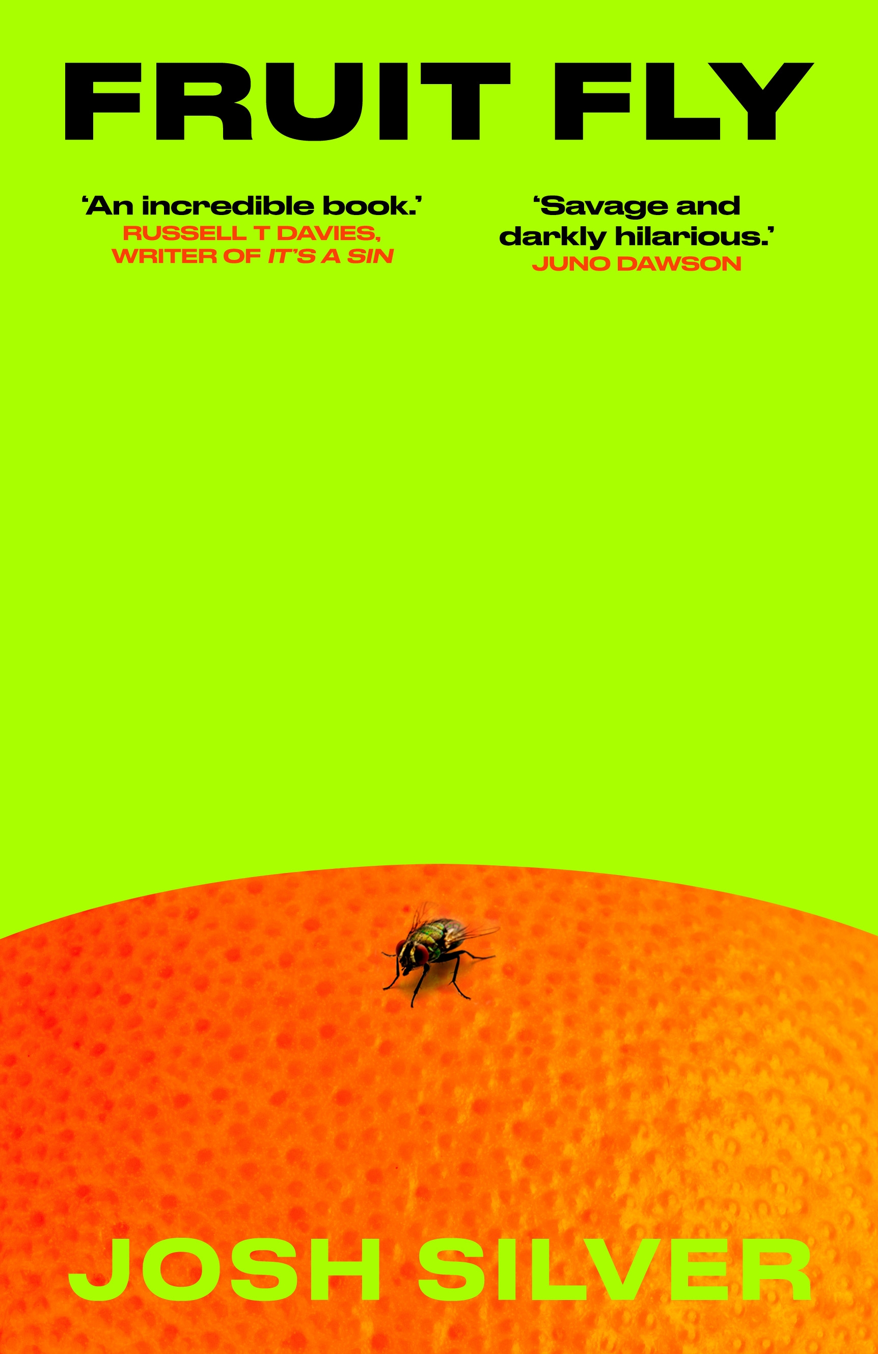Cover of Fruit Fly by Josh Silver, showing a black insect sitting on an orange, on a lime green background.