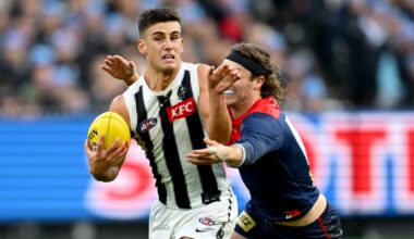 AFL tips Round 13 2026
