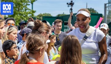 Serena Williams's return to Wimbledon sparks fan frenzy, praise from Novak Djokovic