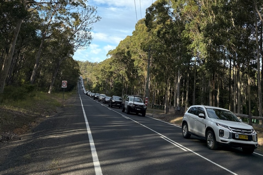 Long line of cars on highway