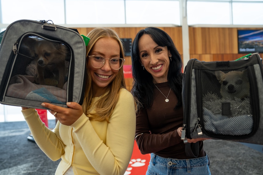 Two women holding chihuahuas outside