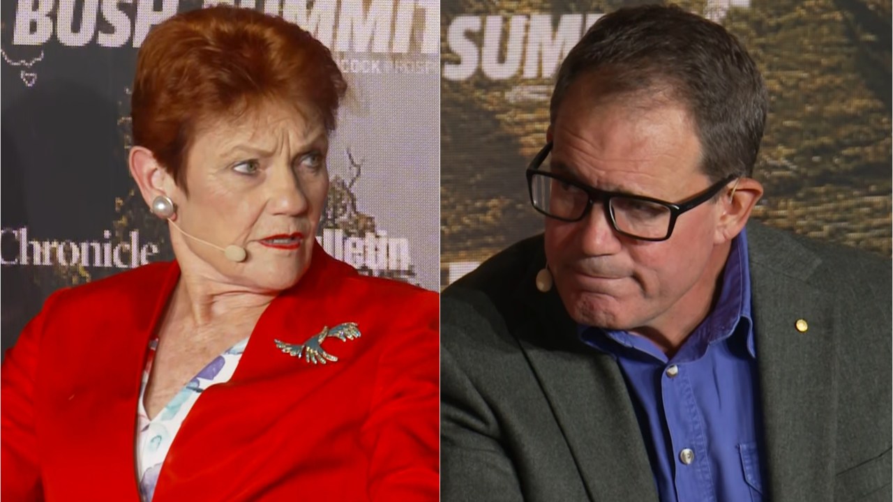 One Nation leader Pauline Hanson tells Labor MP point blank Albanese's gas reservation policy will 'destroy the industry'