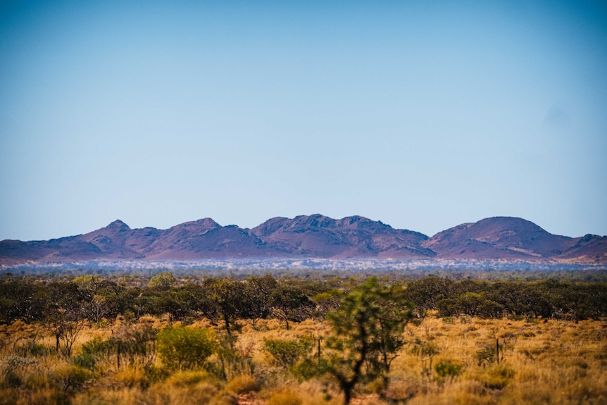 An outback landscape with hills rising in the distant horizon.