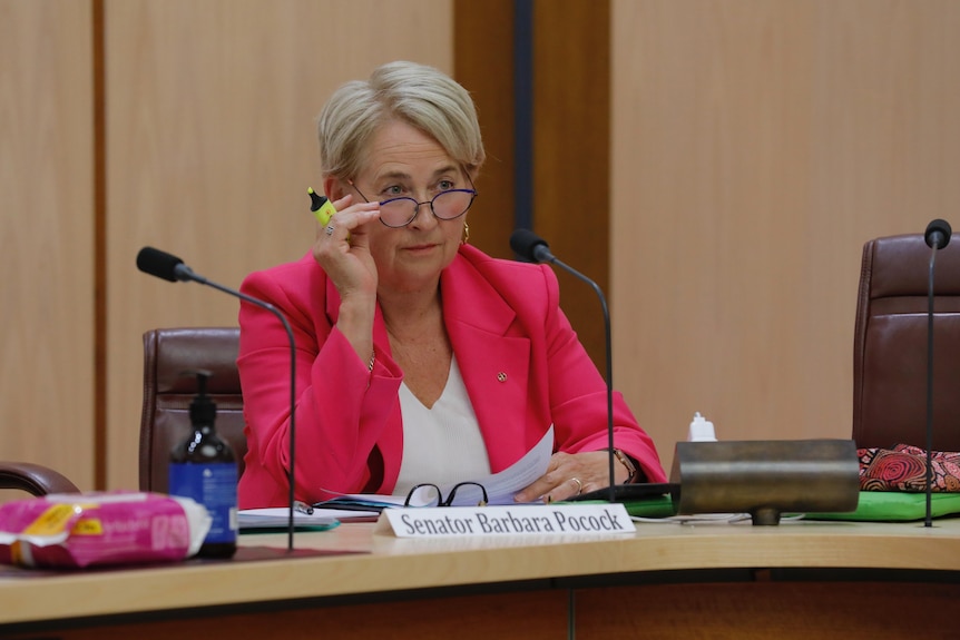 Senator Barbara Pocock peers sceptically over the top of her lowered glasses as she sits at a senate committee.