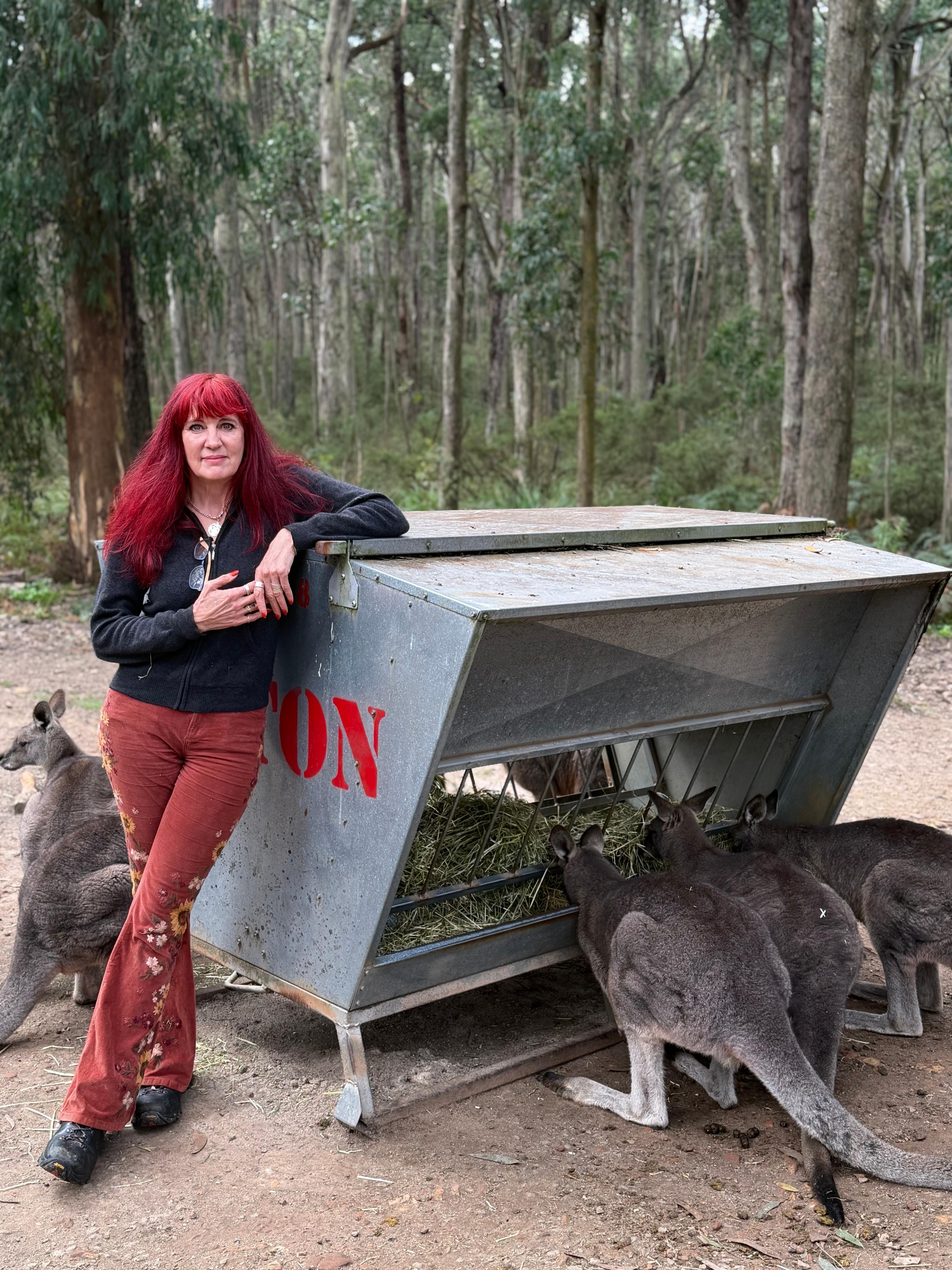 A woman with long dyed red hair in a black top and orange pants leans an elbow on a steel feeder where kangaroos eat.