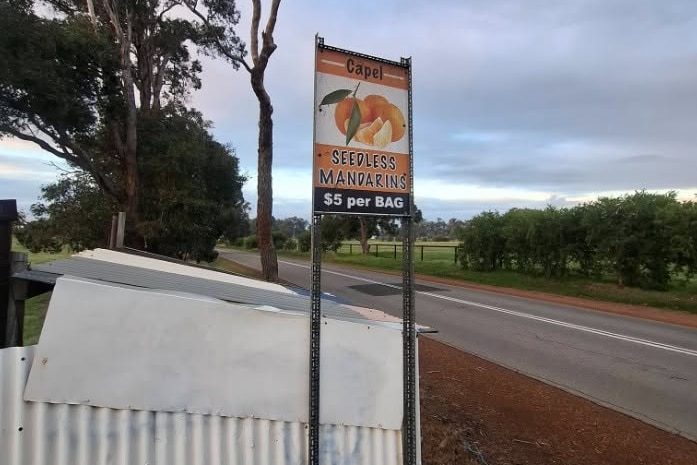 A roadside stall with a sign selling mandarins for $5 per bag