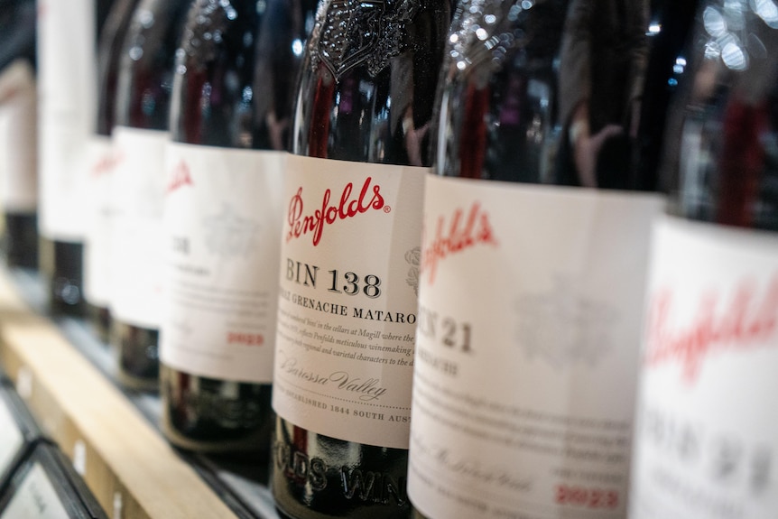 Penfolds bottles on a shelf.