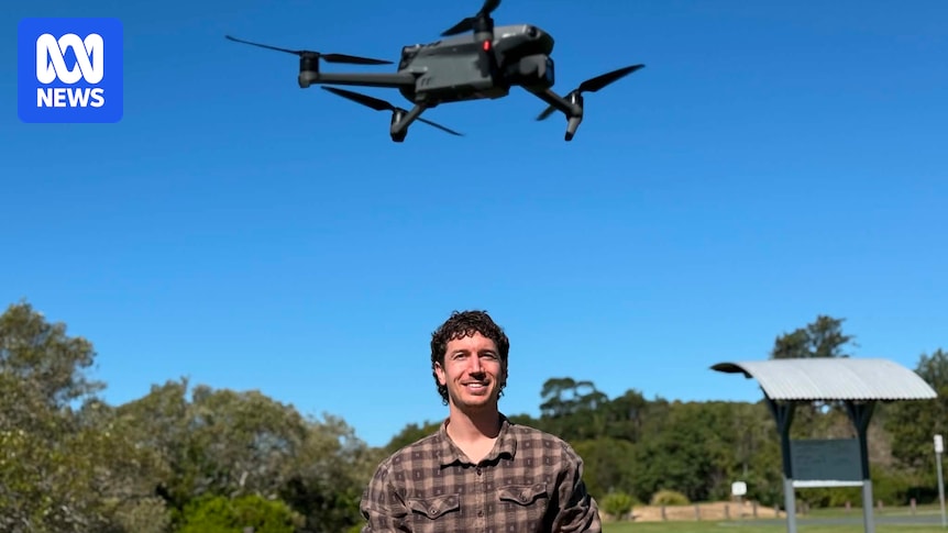 Queensland researchers use drones and AI to capture bird data critical to conservation efforts