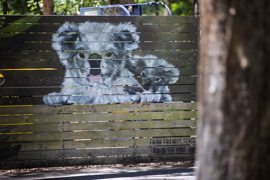 A mural painted on a fence of two koalas.