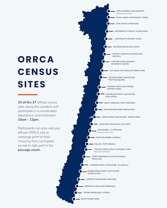 Census cites for the ORCCA whale census.