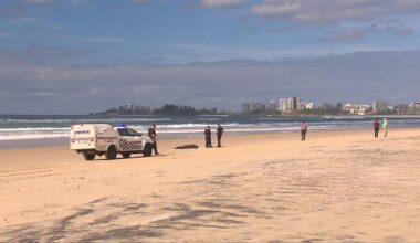 Body found on Gold Coast beach as police work to identify young woman