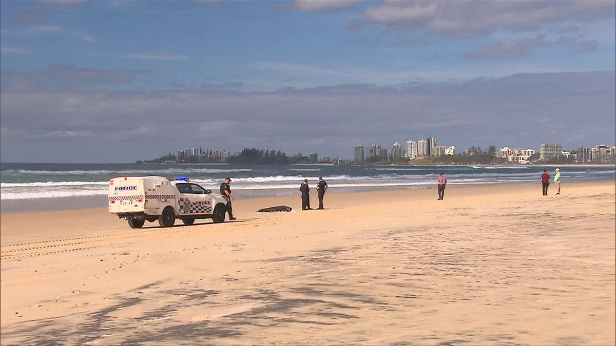 Body found on Gold Coast beach as police work to identify young woman