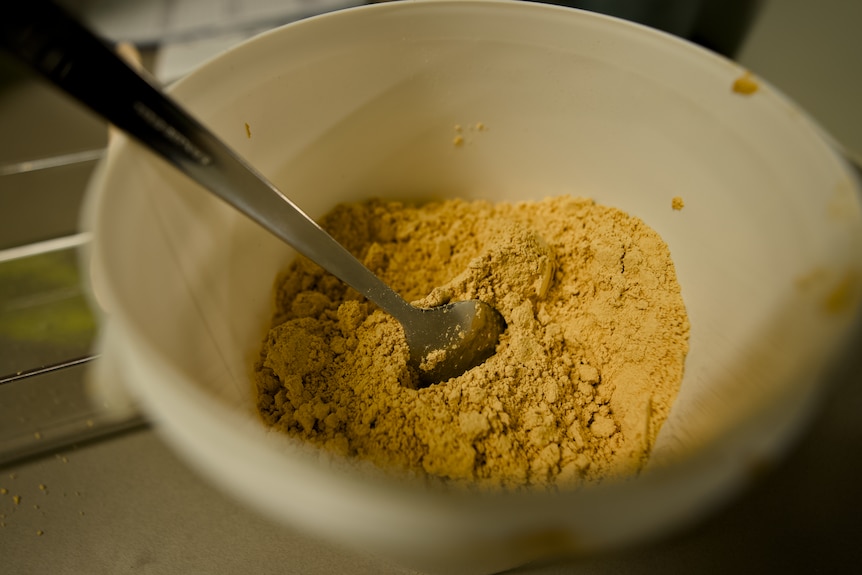 A bowl with a spoon and yellow powder.