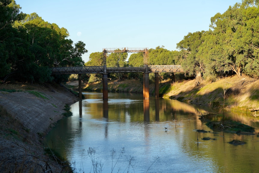 The Darling River looking low at Wilcannia