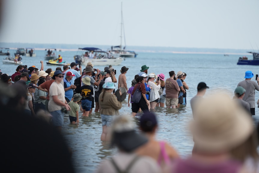 Group of people stand in the water watching an event 