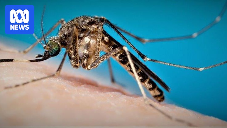 Traveller dies after contracting Murray Valley Encephalitis in WA