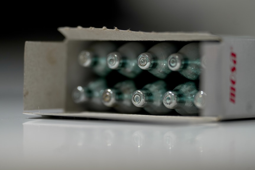 A small cardboard box containing small metal bulbs.