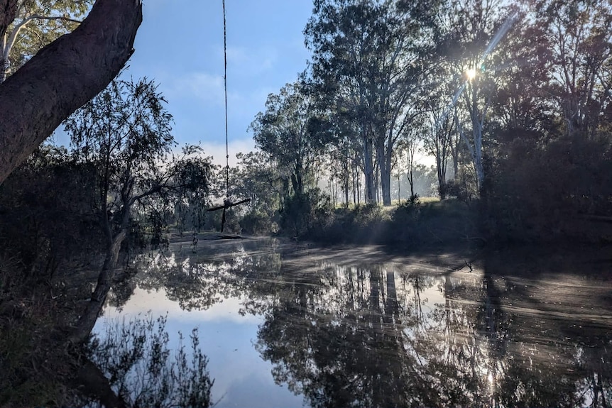 The rope swing used by Mr McLennan at Ficks Crossing.