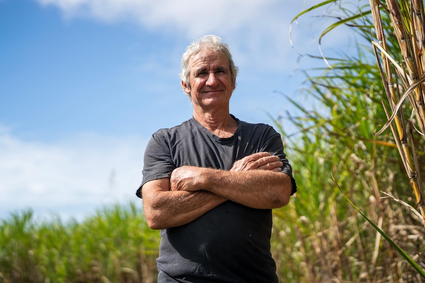 An older man stands with arms crossed in front of sugar cane.