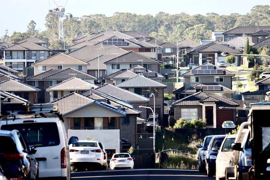 Houses in a suburban area fringed by trees.