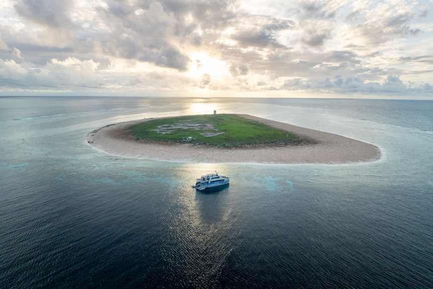 A boat next to a small sandy island with a bit of grass in the middle.