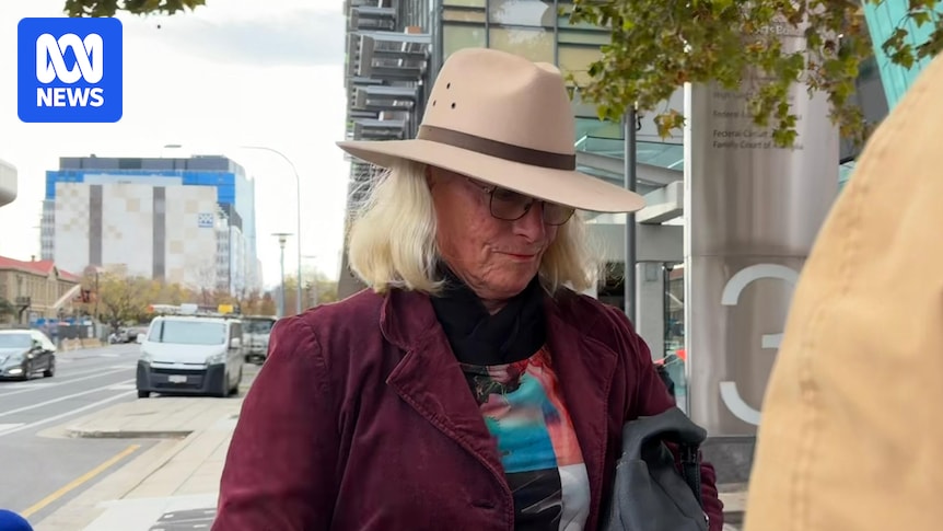 Gus Lamont's grandparent fined over gun offence unrelated to 4yo boy's disappearance