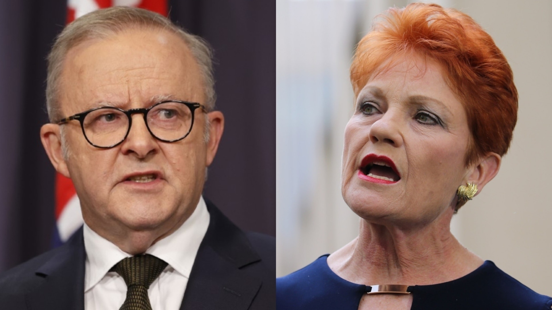 Albanese lashes One Nation surge as ‘grievance politics’